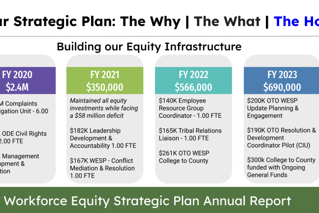 Image taken from the presentation showing the budgeted amounts for each year to build the equity infrastructure. 