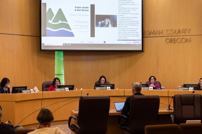 Public Health Director Jessica Guernsey virtually joined Brendon Haggerty, interim program supervisor for Multnomah County Environmental Health for a Board Briefing.