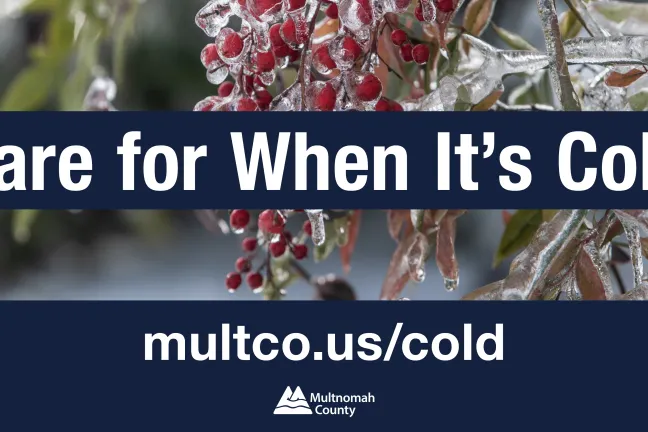 Care for When it's Cold graphic