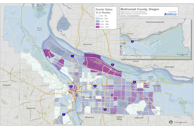 County poverty map 