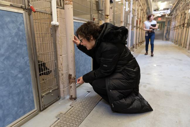 Chair Jessica Vega Pederson talks to a pet at Animal Services on Jan. 6, 2023.