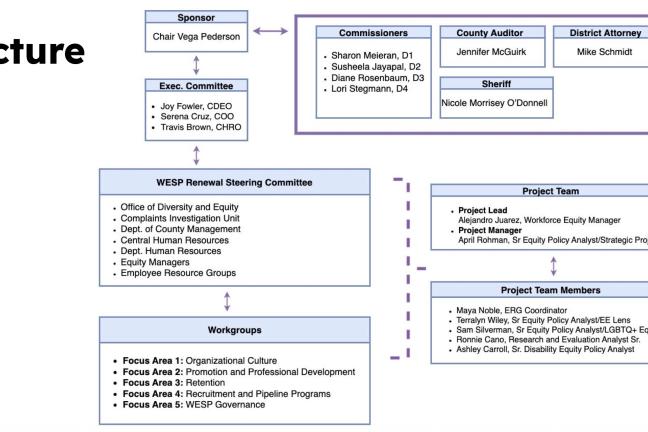 A diagram of the WESP Renewal Project structure, which includes the notable addition of a new steering committee that will function as a temporary decision making body.