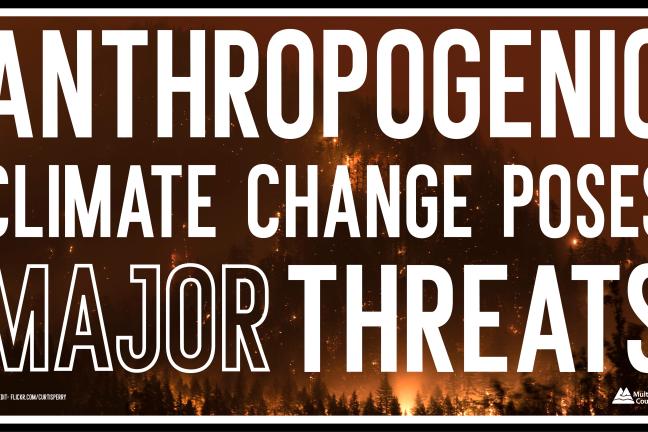 Anthropogenic climate change poses major threats