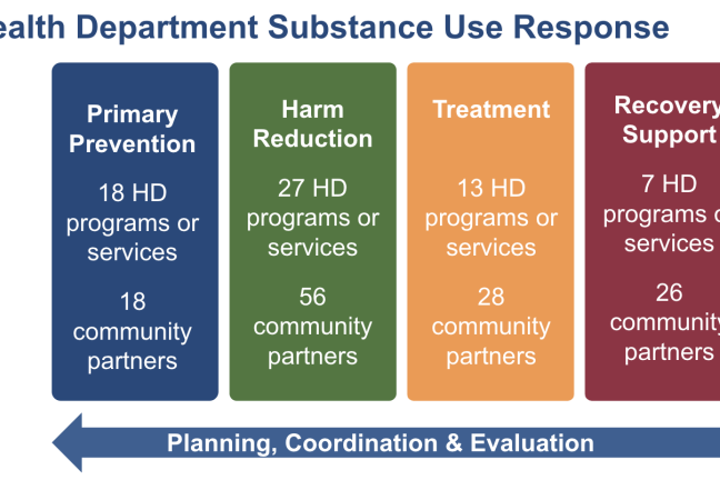 Health Department substance use response: primary prevention, harm reduction, treatment, and recovery support