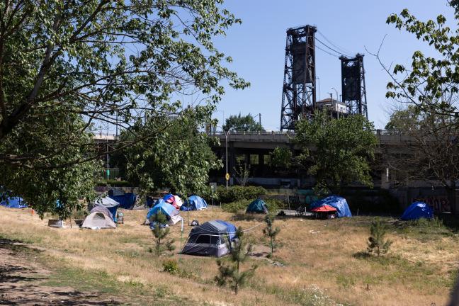 A photo of a group of tents on grass under the Steel Bridge