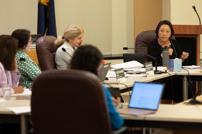 Commissioner Lori Stegmann addressing the board