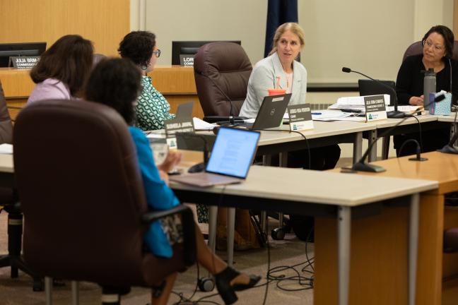 Commissioner Julia Brim-Edwards addressing the board