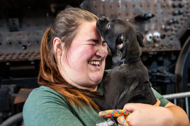 Black puppy, Dahlia, licking owner.