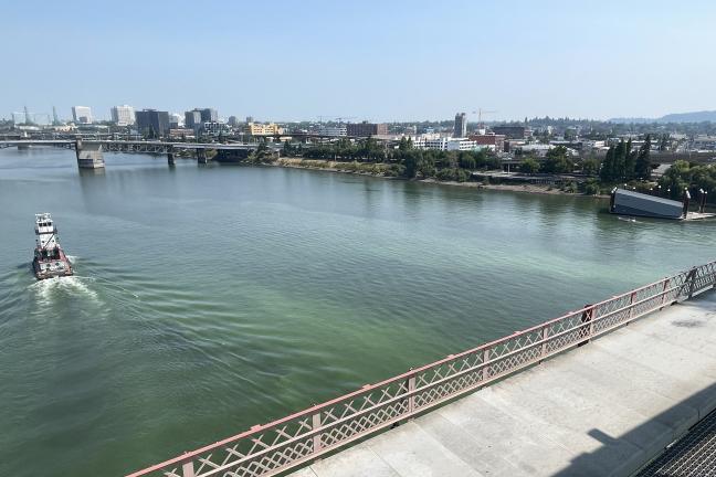 A photo looking east from the Hawthorne Bridge showing blue/green algae.