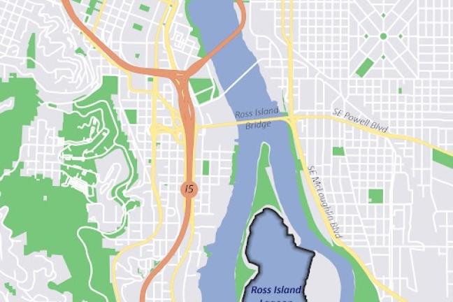 A map of the toxic algae bloom in the Ross Island Lagoon