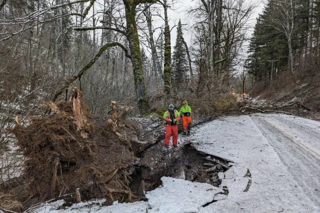 Carretera E. Knieriem 