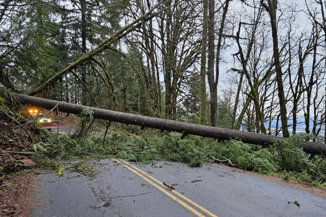 Cierre de la carretera NW Logie Trail 