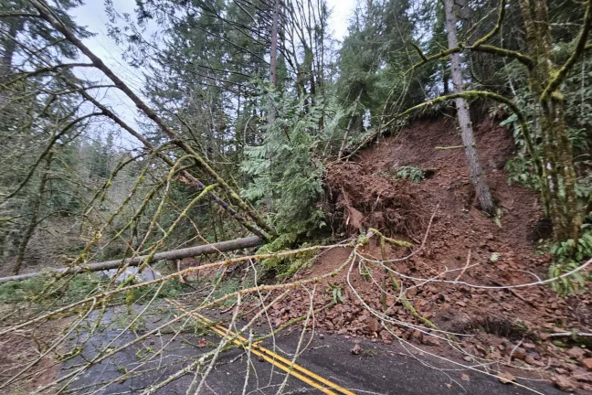 Cierre de Logie Trail Road 