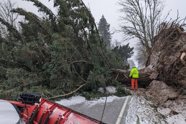 Troutdale Rd. Closure