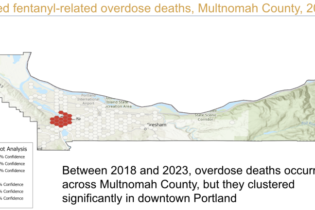 Fentanyl overdose fatalities across the County over the past five years. Red hexagons represented statistically significant clusters of overdoses.