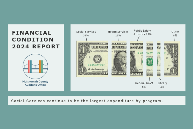 Financial Condition Report 2024