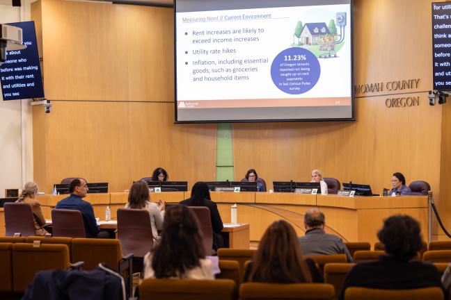 Board members listen to speakers at emergency rent assistance board briefing