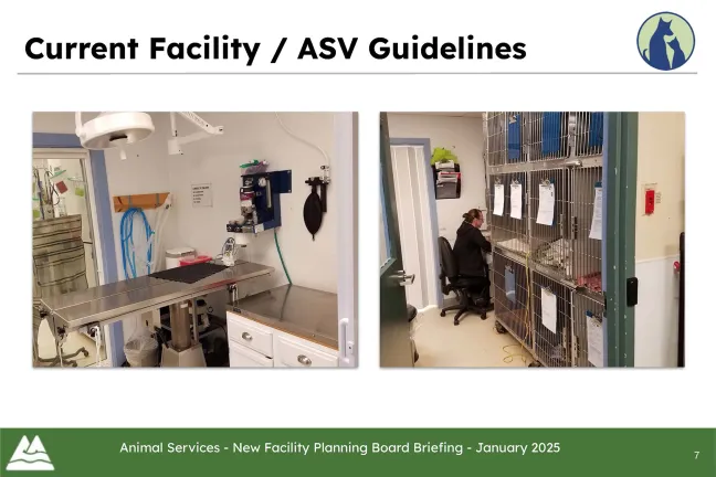 Animal shelter's surgical table and pre/post operation kennels