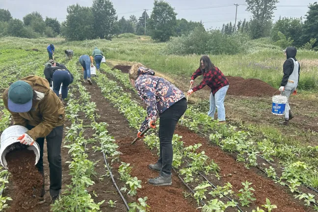 A group of people working on the CROPS farm