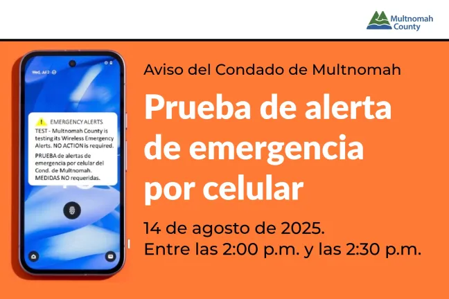 Graphic describing the upcoming emergency alert in Spanish.