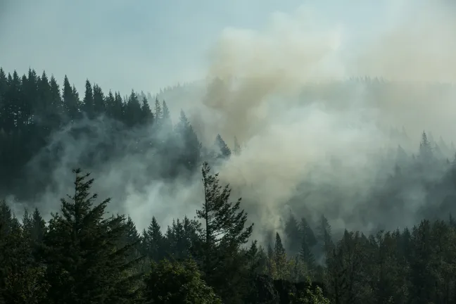 Smoke from a forest fire