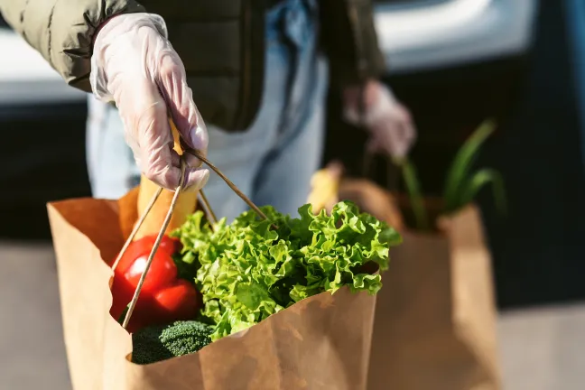 A person wearing gloves carries paper bags filled with fresh vegetables like lettuce, tomatoes, and broccoli, suggesting grocery shopping. Bright, daytime setting.