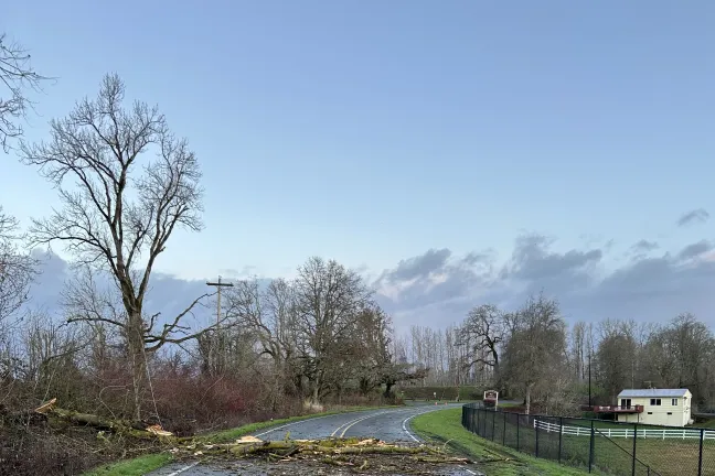 Power line and downed tree across N.W. Reeder Road on Dec. 17. 2026.