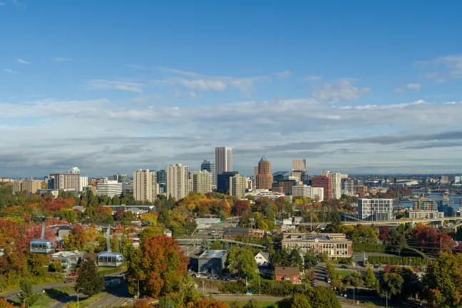 County Skyline during the day