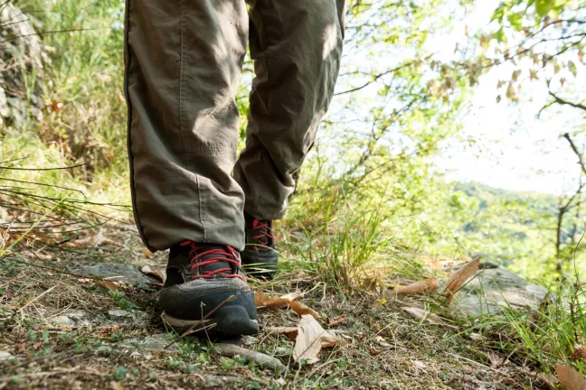 Caminando con pantalones largos por un sendero lleno de maleza.