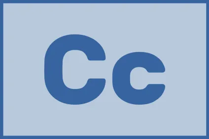 Case Companion logo