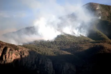 ridgeline forest fire