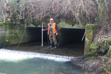 The existing box culvert under Cochran Road blocks fish passage.