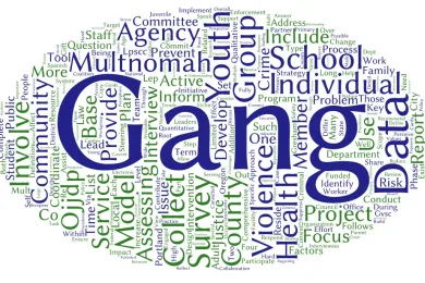 Multnomah County Comprehensive Gang Assessment