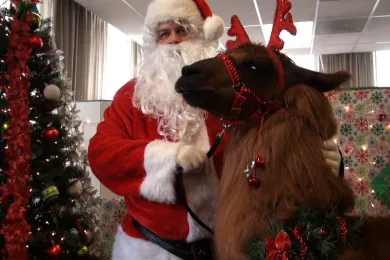 photo of Santa and Rojo the Llama at the FSU holiday party