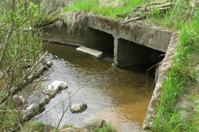 Existing culvert carries Beaver Creek under SE Cochran Road.