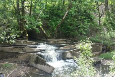 The existing fish ladder is damaged. The lower section has fallen and is now a fish barrier. This project will replace the fish ladder and culvert.