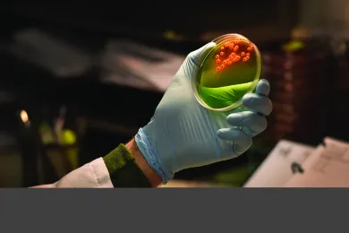 Multnomah County Health Department lab staff test vials of food-borne illness