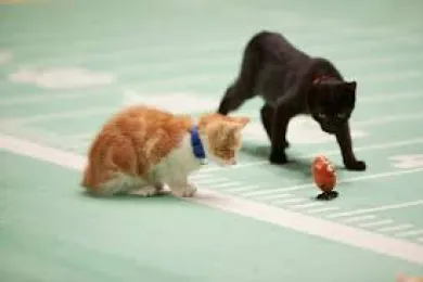 Photo courtesy: Hallmark Channel 