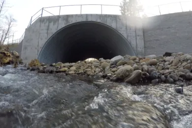 Water flowing out of a large concrete arch through a natural streambed.