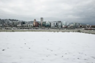 Snow seen from the Multnomah Building, February 2018.
