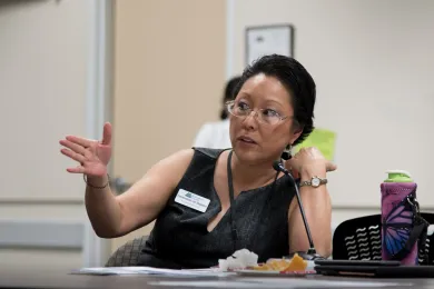 Commissioner Stegmann speaking