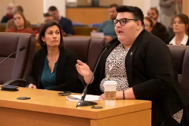 Domestic violence board briefing