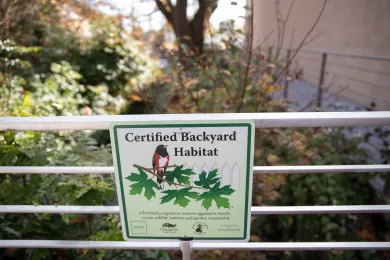 Hillsdale Library Backyard Habitat Certification sign