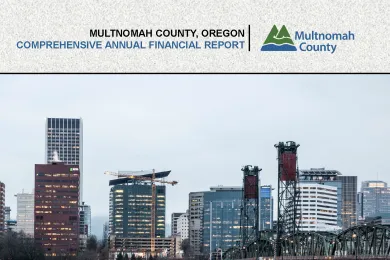Report cover for the 2019 Comprehensive Annual Financial Report