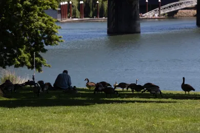 During hot weather and COVID-19, seek the shade while you keep your distance 