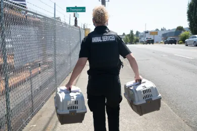 Multnomah County Animal Services (MCAS), in coordination with Portland Police Bureau and the Multnomah County District Attorney’s Office, executed a search warrant in the 2300 block of Northeast 82nd Avenue on Tuesday, August 11, 2020.  