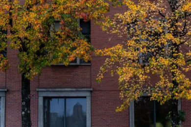 Fall colors outside the Multnomah Building