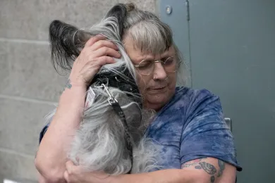 Like humans, pets and animals are susceptible to surging temperatures. Heatstroke in animals is not only life threatening, it can be difficult to treat once it begins. 