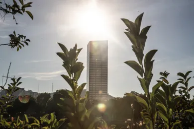 Hot sun over Portland