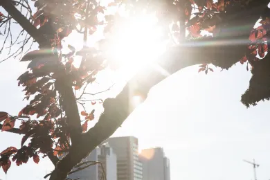 Hot weather in August, 2021